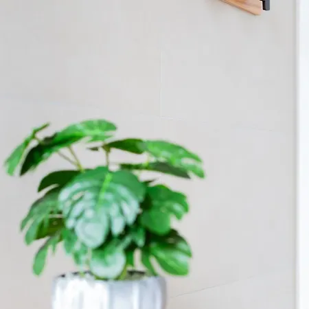 Cactus2023 Daire Roma