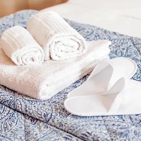 Cactus2023 アパート *